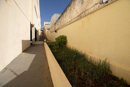 Apartamento para alugar com 74m², 3 quartos e 2 vagas Apartamento para alugar com 74m², 3 quartos e 2 vagasÁrea comum - horta comunitária