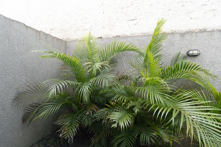 Apartamento para alugar com 86m², 1 quarto e 1 vaga Apartamento para alugar com 86m², 1 quarto e 1 vagaVista do Suíte