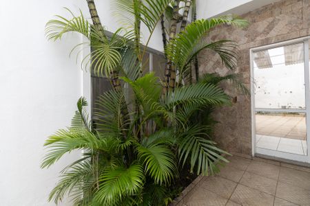 Casa para alugar com 95m², 2 quartos e 2 vagasJardim