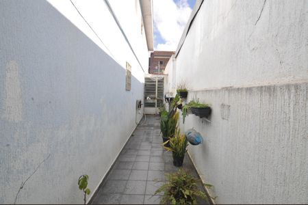 Quintal de casa à venda com 3 quartos, 125m² em Vila Constança, São Paulo