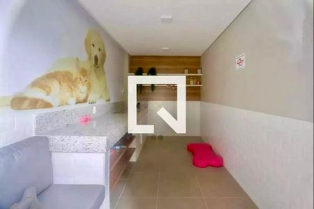 Apartamento para alugar com 27m², 1 quarto e sem vaga Apartamento para alugar com 27m², 1 quarto e sem vagaÁrea comum - Petcare