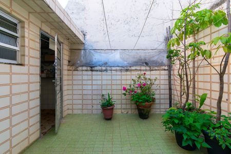 Casa para alugar com 150m², 4 quartos e 2 vagasQuintal