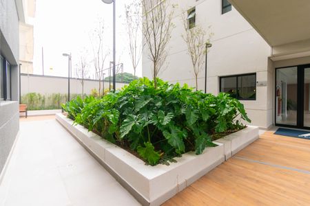 Apartamento à venda com 80m², 2 quartos e 1 vagaÁrea comum