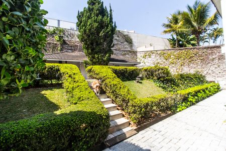 Casa de condomínio à venda com 485m², 3 quartos e 6 vagasQuintal