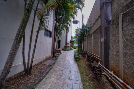 Apartamento para alugar com 56m², 3 quartos e 1 vagaÁrea comum