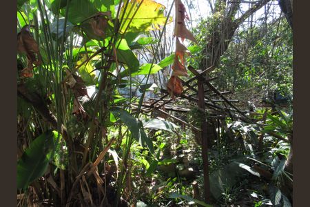 Casa à venda com 2500m², 2 quartos e 30 vagasÁrea Externa