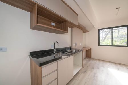 Studio para alugar com 16m², 1 quarto e sem vagaStudio