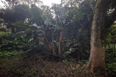 Casa à venda com 500m², 3 quartos e 3 vagas Casa à venda com 500m², 3 quartos e 3 vagasÁrea Privativa