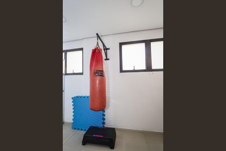 Apartamento à venda com 400m², 4 quartos e 4 vagasÁrea comum - Academia