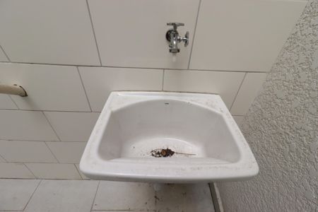 Apartamento à venda com 50m², 2 quartos e 1 vagaÁrea de Serviço - Tanque