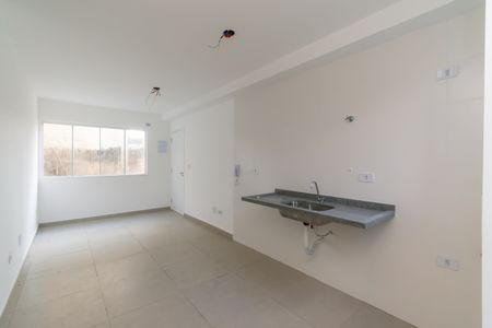 Apartamento à venda com 47m², 2 quartos e sem vagaCozinha