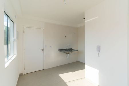 Apartamento para alugar com 47m², 2 quartos e sem vagaCozinha