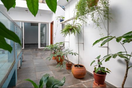 Casa para alugar com 412m², 4 quartos e 6 vagasQuintal