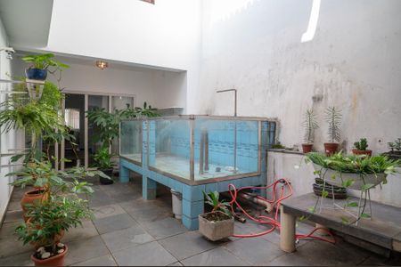 Casa para alugar com 412m², 4 quartos e 6 vagasQuintal