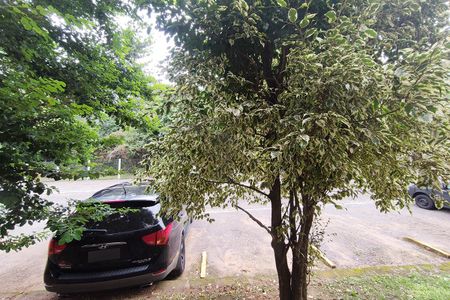 Apartamento à venda com 58m², 2 quartos e 1 vagaVista