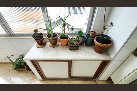 Apartamento para alugar com 163m², 3 quartos e 1 vagaDetalhe da area de serviço