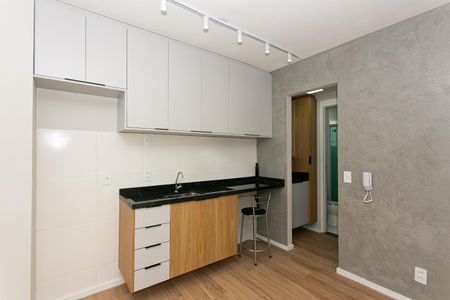 Apartamento para alugar com 31m², 1 quarto e sem vagaCozinha