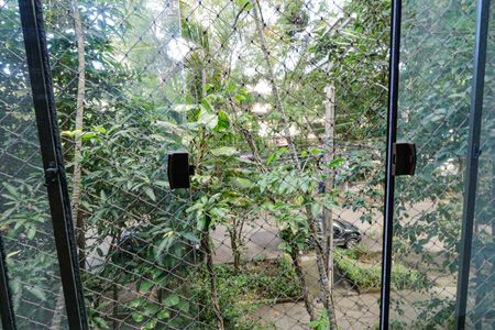 Apartamento à venda com 109m², 3 quartos e 2 vagasSacada Vista