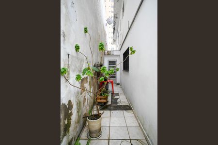 Casa à venda com 306m², 3 quartos e 2 vagas Casa à venda com 306m², 3 quartos e 2 vagasQuintal