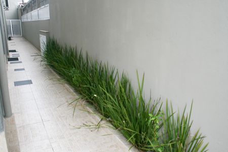 Casa de condomínio para alugar com 5322m², 1 quarto e 1 vagaÁrea comum