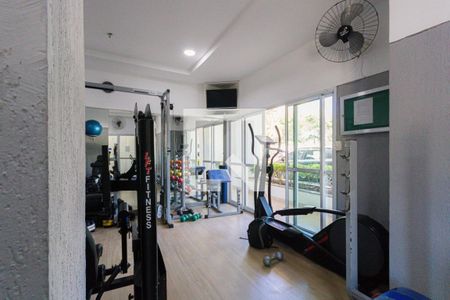 Apartamento à venda com 69m², 2 quartos e 1 vaga Apartamento à venda com 69m², 2 quartos e 1 vagaÁrea comum - Academia