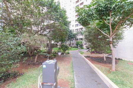 Apartamento para alugar com 64m², 3 quartos e 1 vaga Apartamento para alugar com 64m², 3 quartos e 1 vagaÁrea comum