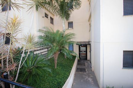 Apartamento para alugar com 47m², 2 quartos e 1 vagaFachada