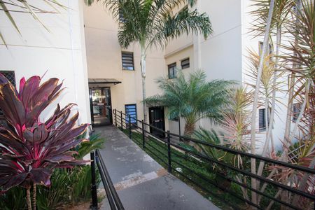 Apartamento para alugar com 47m², 2 quartos e 1 vagaFachada