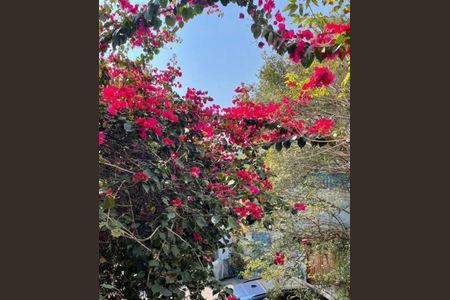 Casa à venda com 300m², 5 quartos e 2 vagas Casa à venda com 300m², 5 quartos e 2 vagasFoto 23