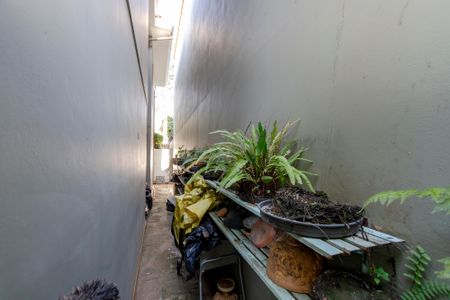 Casa à venda com 180m², 3 quartos e 3 vagasÁrea comum