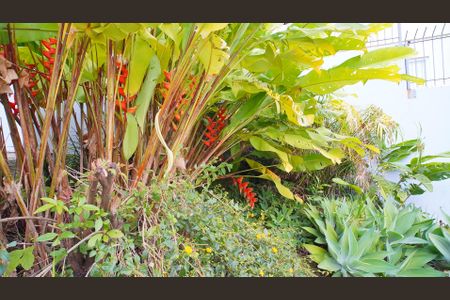 Studio para alugar com 15m², 1 quarto e sem vagaÁrea comum