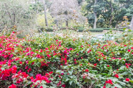 Casa à venda com 790m², 4 quartos e 6 vagasVista da Suíte 1