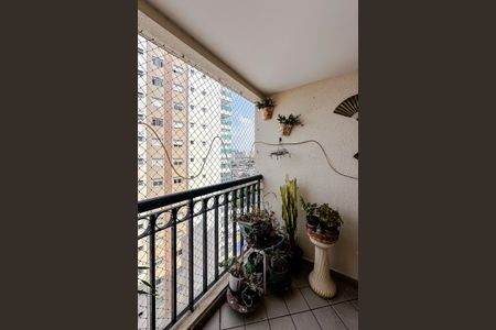 Apartamento para alugar com 70m², 3 quartos e 1 vagaVaranda