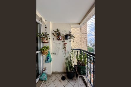 Apartamento para alugar com 70m², 3 quartos e 1 vagaVaranda