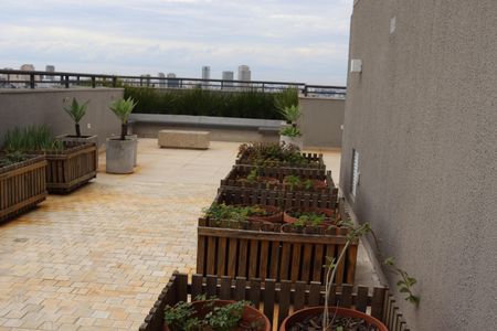 Apartamento para alugar com 69m², 2 quartos e 2 vagasÁrea comum