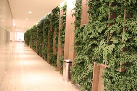 Apartamento à venda com 338m², 4 quartos e 4 vagasÁrea comum