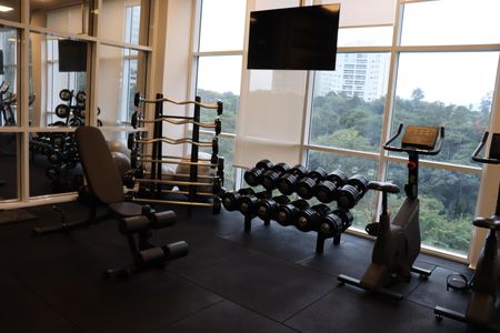 Apartamento à venda com 338m², 4 quartos e 4 vagasÁrea comum