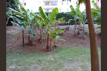 Apartamento à venda com 75m², 3 quartos e 2 vagas Apartamento à venda com 75m², 3 quartos e 2 vagasFoto 07