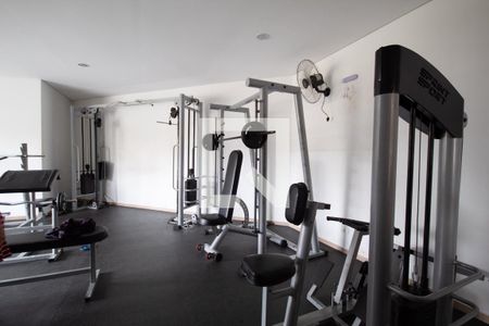 Apartamento para alugar com 52m², 2 quartos e 1 vaga Apartamento para alugar com 52m², 2 quartos e 1 vagaÁrea comum - Academia