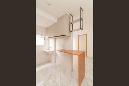 Apartamento para alugar com 35m², 2 quartos e sem vagaCozinha