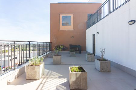 Studio para alugar com 24m², 1 quarto e sem vagaÁrea Comum 