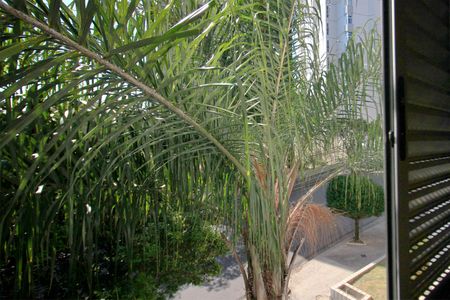 Apartamento à venda com 165m², 4 quartos e 3 vagasVista da Suíte 1