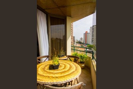 Apartamento à venda com 248m², 3 quartos e 3 vagasFoto 05