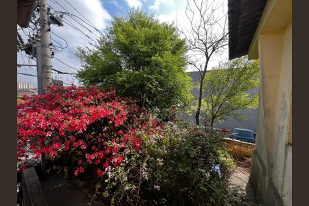 Casa à venda com 327m², 2 quartos e 1 vagaÁrea externa