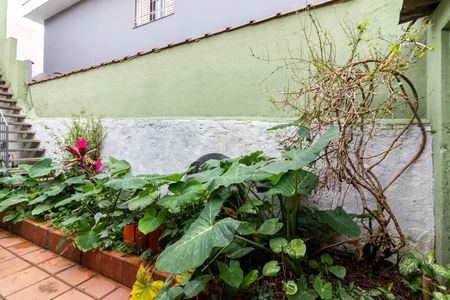 Casa para alugar com 85m², 3 quartos e 2 vagas Casa para alugar com 85m², 3 quartos e 2 vagasQuintal