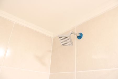 Apartamento para alugar com 36m², 2 quartos e sem vagaDetalhe do banheiro