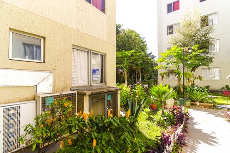 Apartamento para alugar com 42m², 2 quartos e sem vaga Apartamento para alugar com 42m², 2 quartos e sem vagaPlaquinha