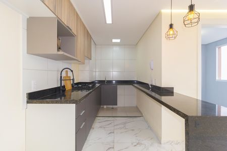 Apartamento para alugar com 35m², 2 quartos e sem vagaCozinha