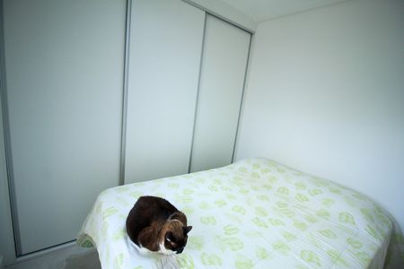 Apartamento à venda com 54m², 2 quartos e 1 vagaQuarto 2