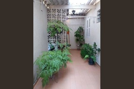 Casa à venda com 3 quartos, 160m² em Vila Cordeiro, São Paulo